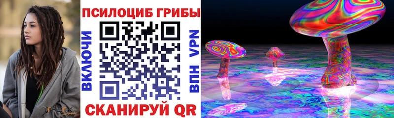 Псилоцибиновые грибы Psilocybe  Болхов 