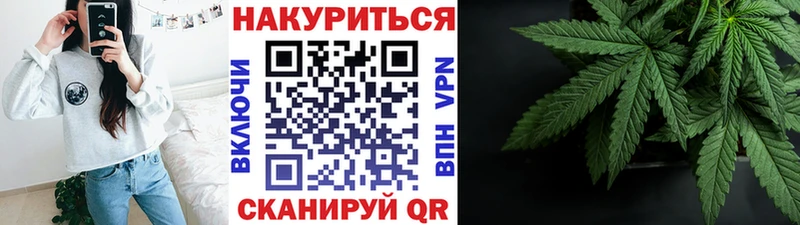 Бошки марихуана Amnesia  Болхов 
